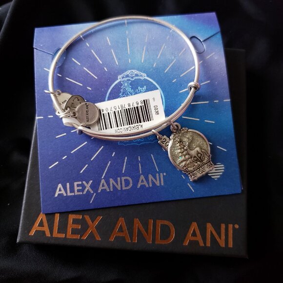 NWT Alex And Ani limited edition snow globe 2018  Silver Bracelet     515 - Picture 4 of 4